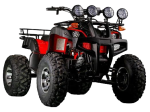 ⁦بيتش باجى Beach Buggy BY-DGN⁩ - الصورة ⁦8⁩